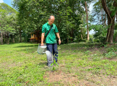 กิจกรรมวันต้นไม้ประจำปีของชาติ พ.ศ. 2568 พารามิเตอร์รูปภาพ 11